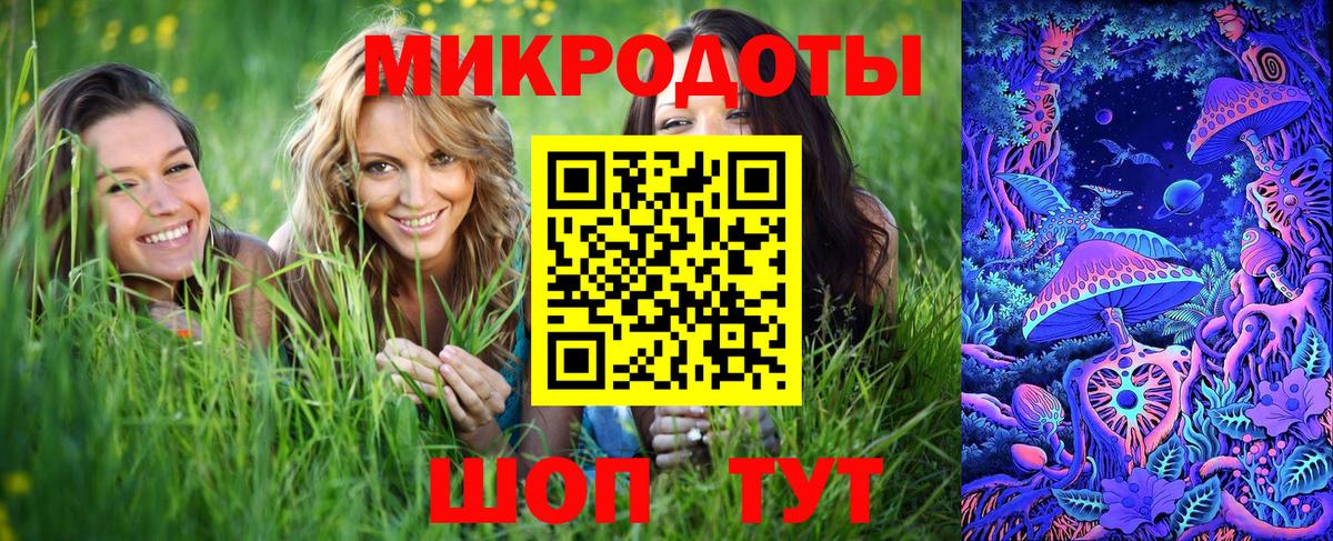 Галлюциногенные грибы прущие грибы Жигулёвск