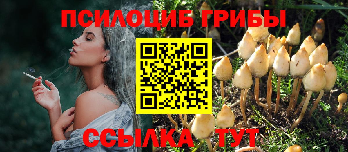 Жигулёвск  Псилоцибиновые грибы Psilocybine cubensis  Вход с VPN 